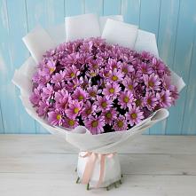 Букет цветов из:  Хризантемы #REPLACE_PRED# Казани