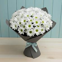 Букет цветов из:  Хризантемы #REPLACE_PRED# Казани
