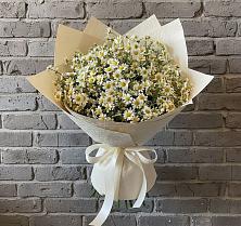 Букет цветов из:  Ромашки #REPLACE_PRED# Казани