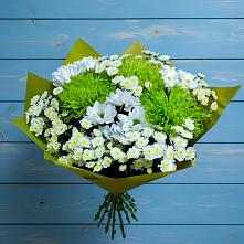 Букет скромность  в Казани Букет цветов из:  Хризантемы в Казани